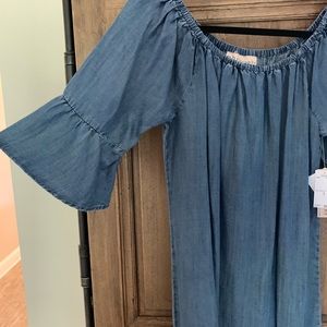 NWT—off the shoulder denim dress